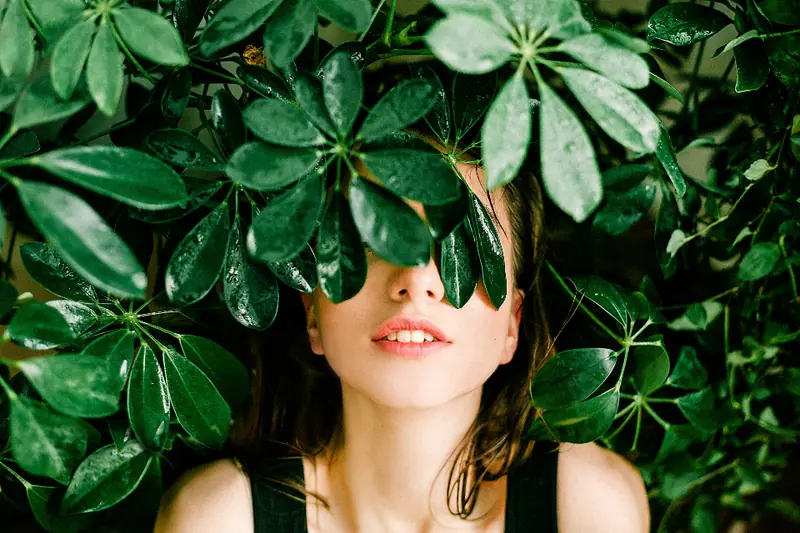 Visage entre des feuilles vertes