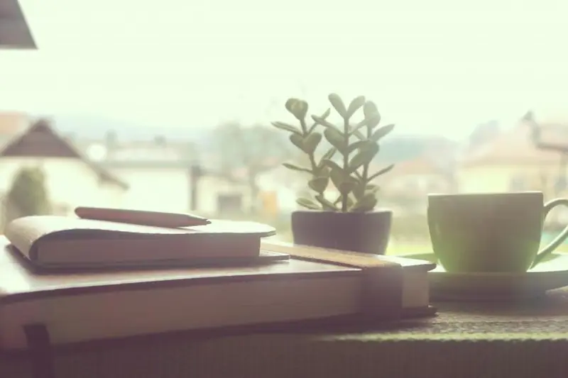 Carnet, plante et tasse sur un rebord de fenêtre